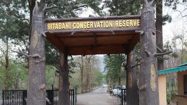 Entry Gate: Durgadevi Zone